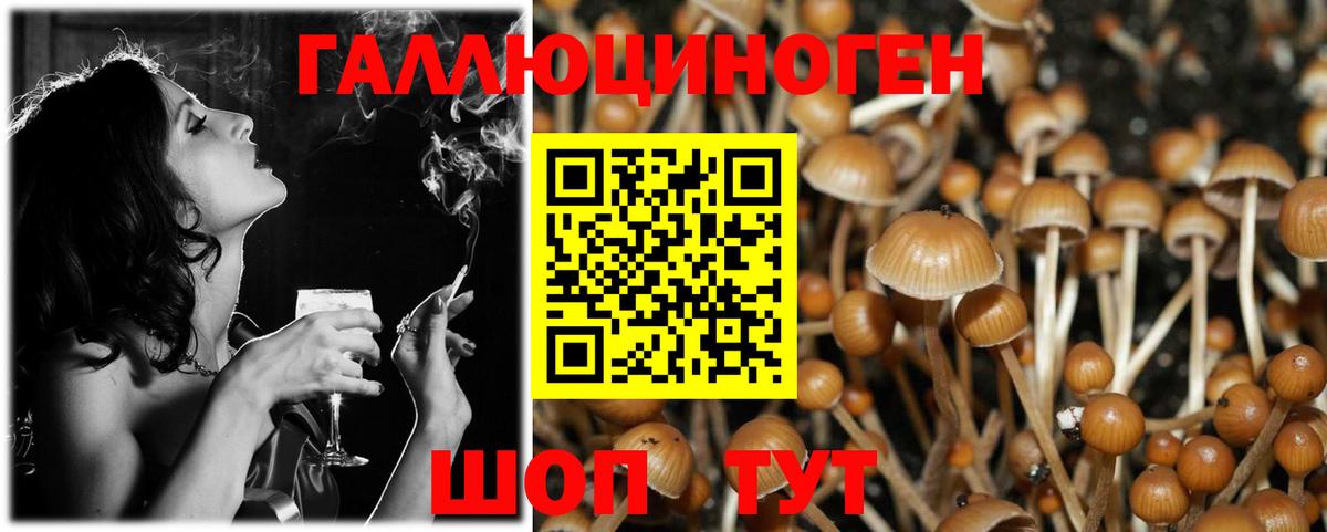 Баксан  Галлюциногенные грибы GOLDEN TEACHER  Вход с VPN  Галлюциногенные грибы Psilocybe 